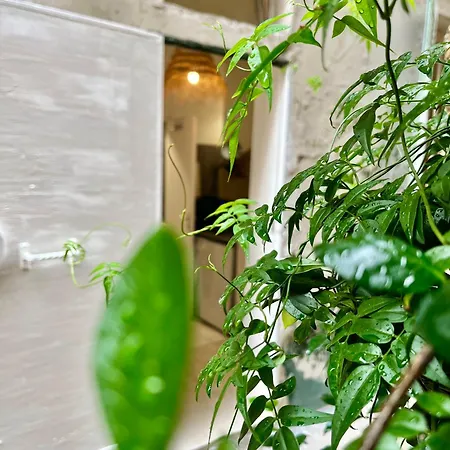 Apartamento Centre Calme Cosy *