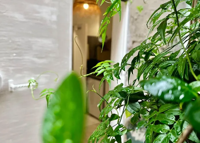 Appartement Centre Calme Cosy *